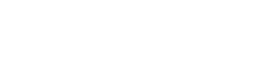 Professor